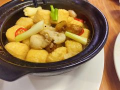 豆腐煲-长平肥姐白粥·海鲜打冷