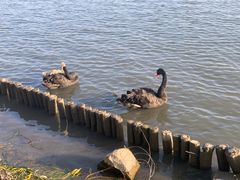 -西山漾湿地公园