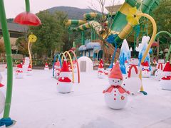 -苏州乐园森林水世界