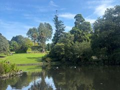 -墨尔本皇家植物园