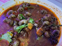 -杨氏青龙虾·羊蝎子(托乐嘉店)