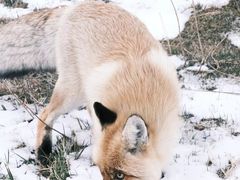 -华晨宝马铁西工厂