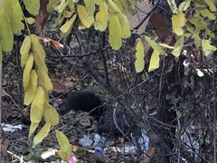 -沈阳辉山风景区