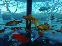 -石家庄市动物园