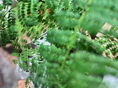 -北方家宴(番禺永旺店)