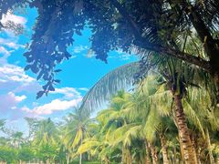 -三亚海棠湾万丽度假酒店