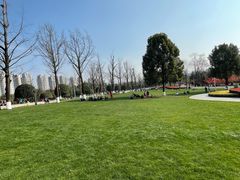 -重庆市江北嘴中央商务区中央公园