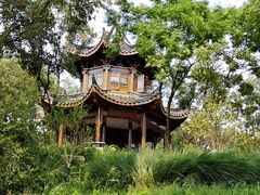 -上海市保健医疗中心