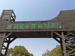 -溱湖国家湿地公园