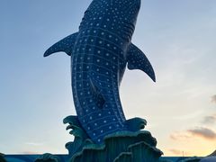 -珠海长隆海洋王国