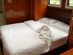 -崇明东平国家森林公园烧烤房车露营地