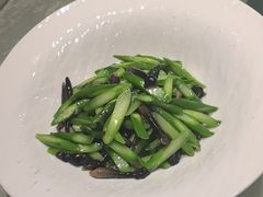-海派美食·家宴海鲜青岛菜·石锅鲽鱼头(东方城店)