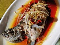 -望海潮海鲜店 特色家常菜(在海一方店)