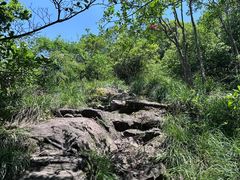 -午潮山国家森林公园