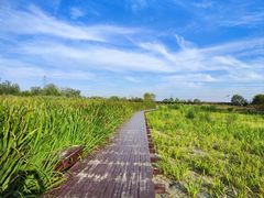 -永定河休闲森林公园