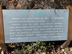 -雨花胜境