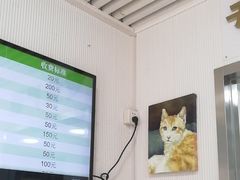 -守诺宠物医院·眼科· 特色牙科·异宠专科(虹口店)