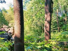 景观位-西郊宾馆·1921餐厅