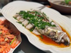 白水鱼-一麦·龙岛(上海青浦店)