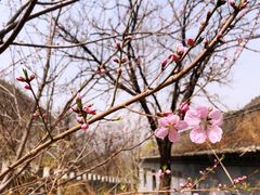 -云岫谷自然风景区