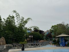 -海合安武汉极地海洋公园