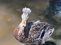-大连老虎滩海洋公园