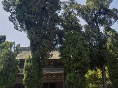 -报恩寺(平武县)