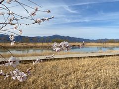 -野鸭湖国家湿地公园