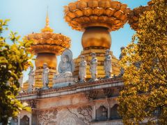 -上海东林寺(金山区)