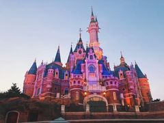 -上海迪士尼度假区