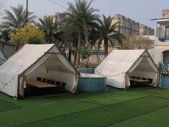 -寻味·后院花语