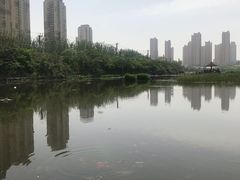 -前关湿地公园