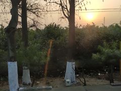 -南沙十九涌渔人码头-南门