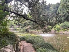 -叶家花园