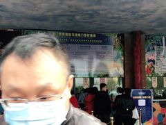 -灵玲国际马戏城