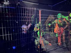 -朝阳公园游乐园