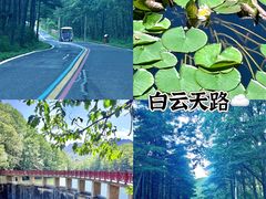 -洛阳白云山景区