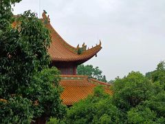-杭州植物园
