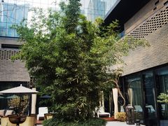 -Tivano意大利餐厅(成都居舍酒店)