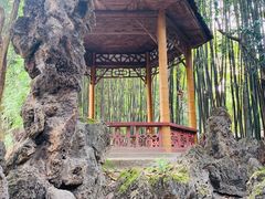 -望江楼公园