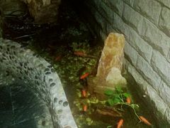 -马路边边串串香(双井直营店)