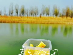 -野鸭湖国家湿地公园