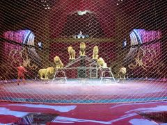 -珠海横琴长隆《卡卡虎奇遇记》