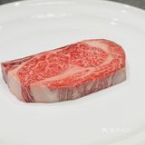 青山在 人未老