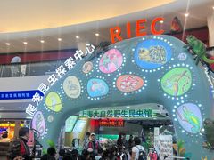 -上海大自然野生昆虫馆(东方明珠·爬宠昆虫探索中心)