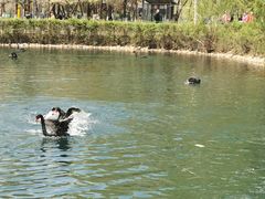 -长白岛森林公园