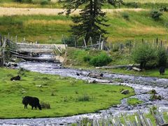 -阿坝州汶川特别旅游区
