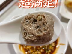 手锤牛肉丸锅底-食潮汕头鲜牛馆(望京保利店)