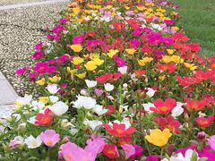 -东方绿舟酒店-停车场