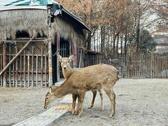 -广富林郊野公园